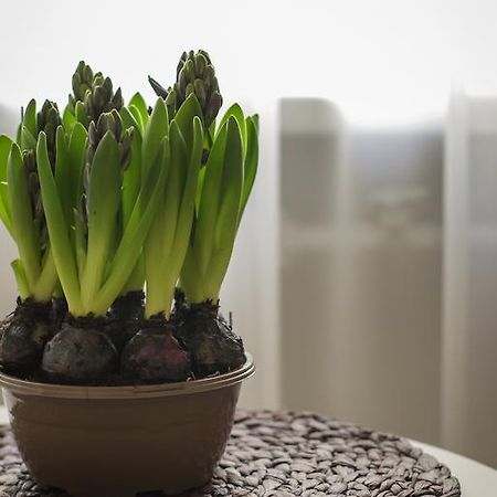 Apartamento Saulys Druskininkai Habitación foto