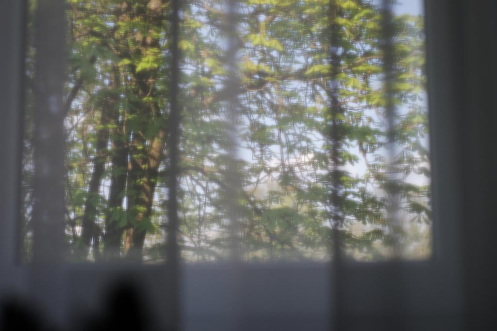 Apartamento Saulys Druskininkai Habitación foto